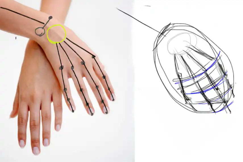 手の描き方（イラストとデッサン）