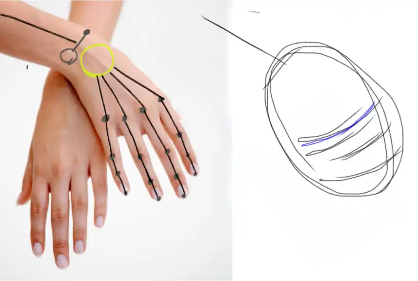 手の描き方（イラストとデッサン）　