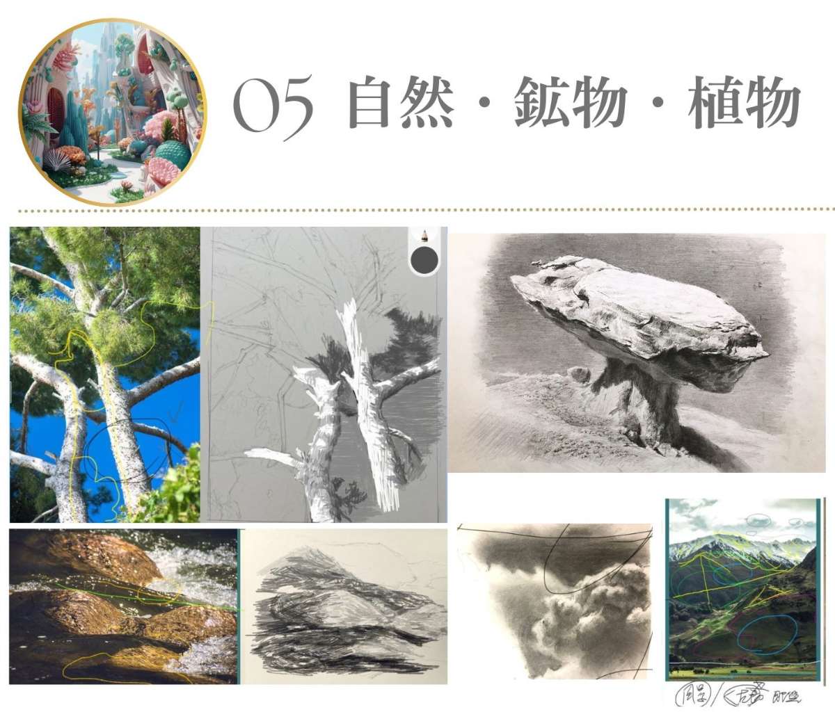 オンライン　デッサン教室　自然　植物