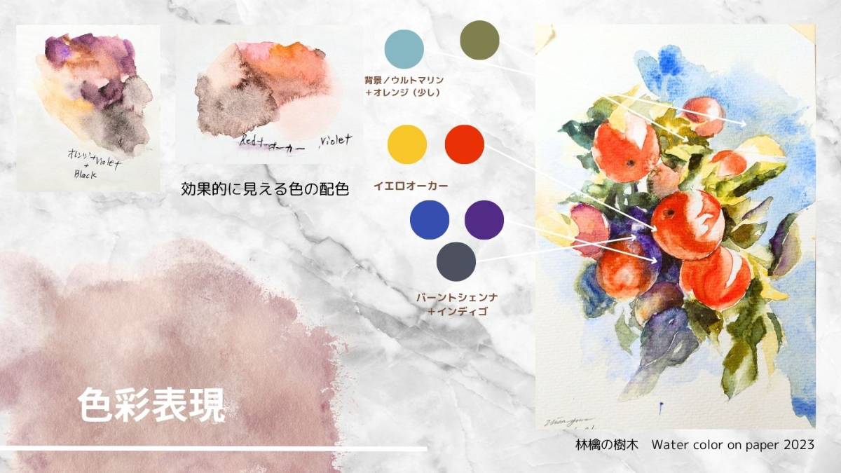 オンライン水彩教室の林檎の絵