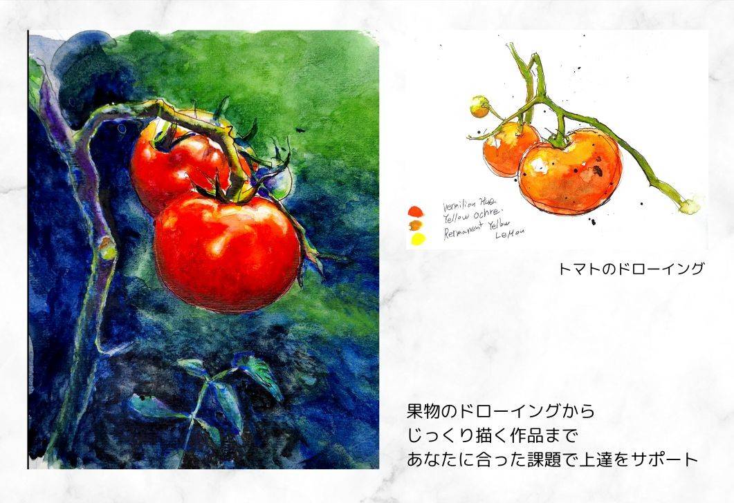 オンライン水彩画教室のトマトの絵