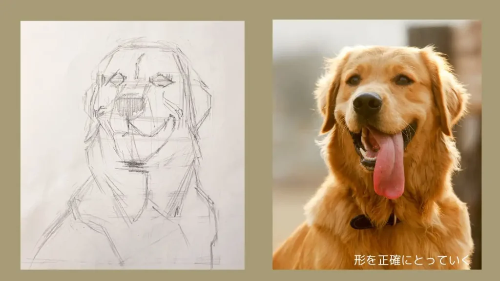 鉛筆で描いた犬