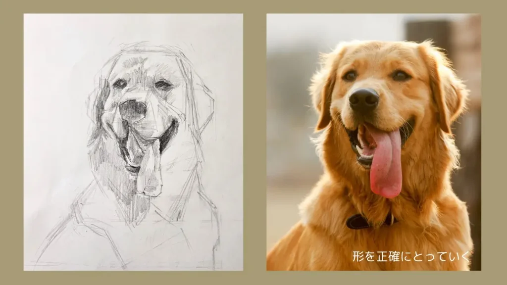 鉛筆で描いた犬