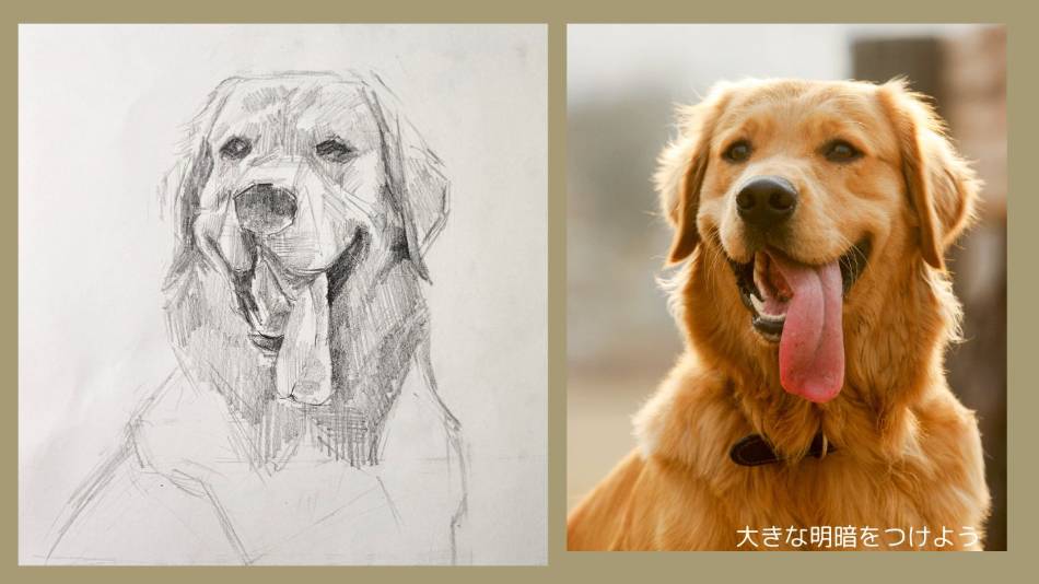 鉛筆で描いた犬