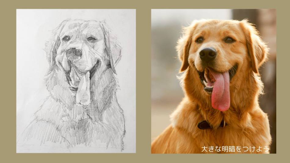 鉛筆で描いた犬