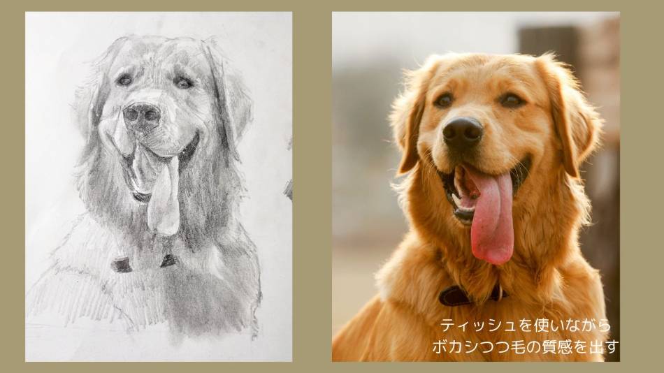 鉛筆で描いた犬