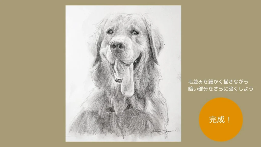 鉛筆で描いた犬