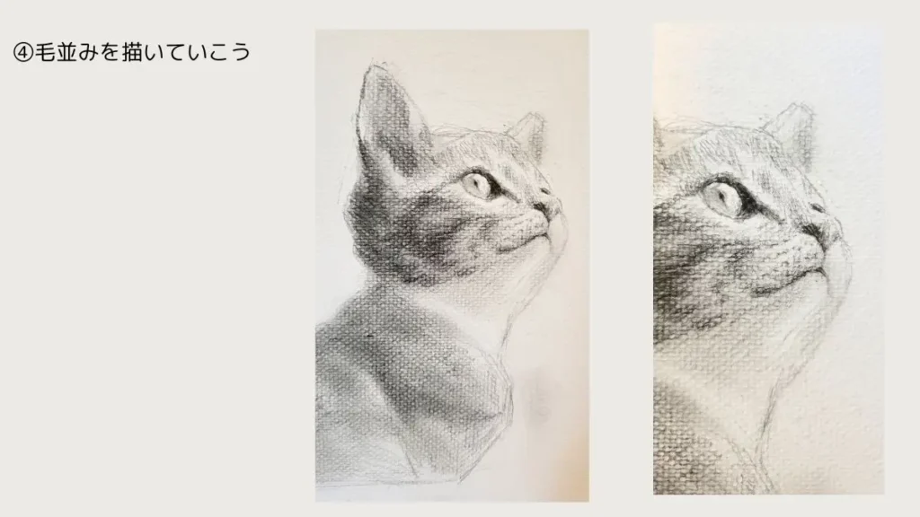 猫の鉛筆デッサン