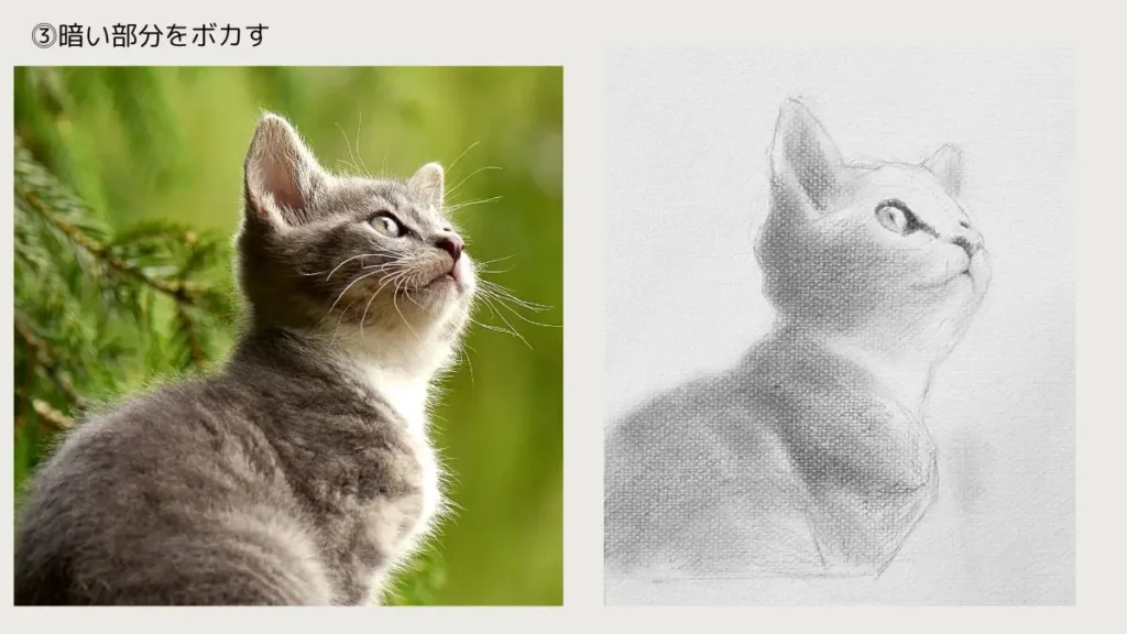 猫の鉛筆デッサン