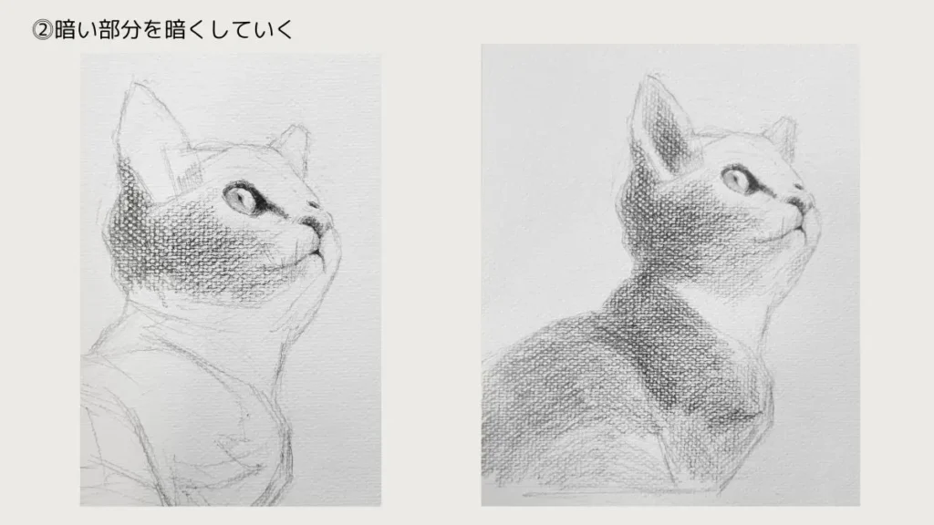 猫の鉛筆デッサン