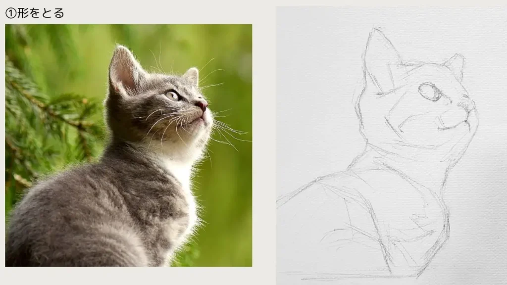 猫の鉛筆デッサン