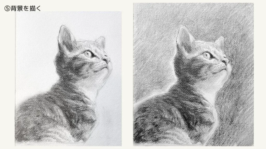 猫の鉛筆デッサン