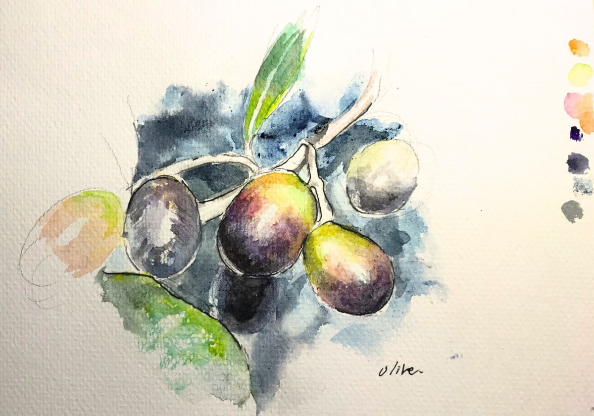 鉛筆とペンと水彩で描いたオリーヴ