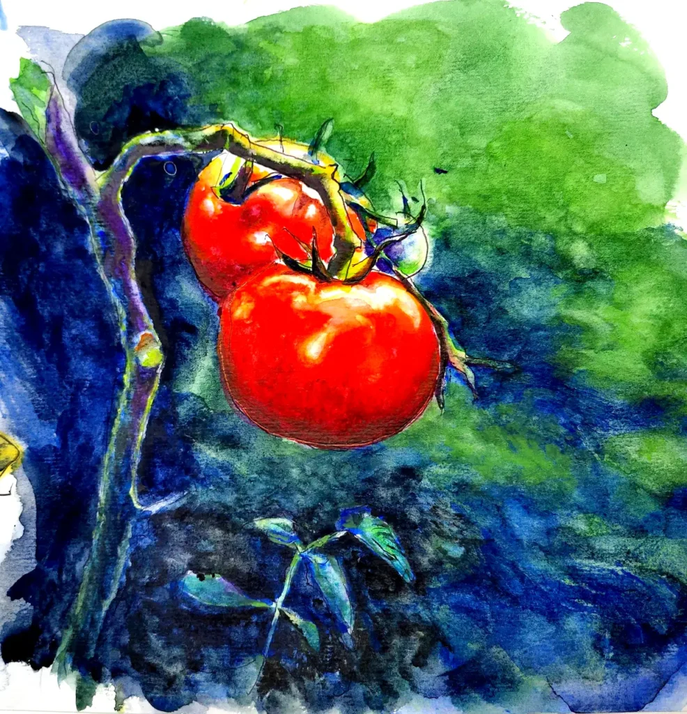 トマト水彩画