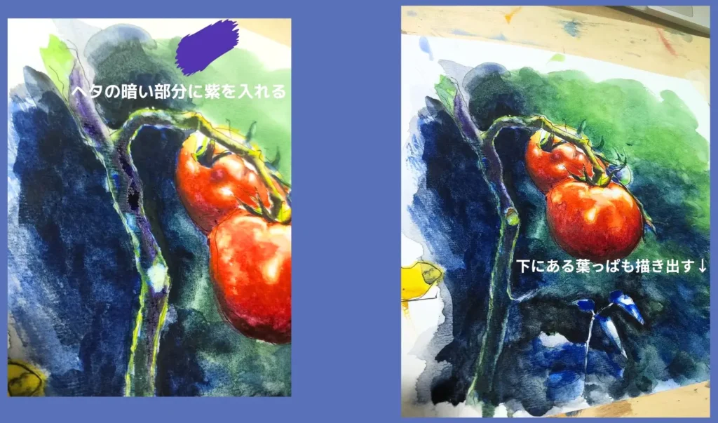 トマトの水彩画