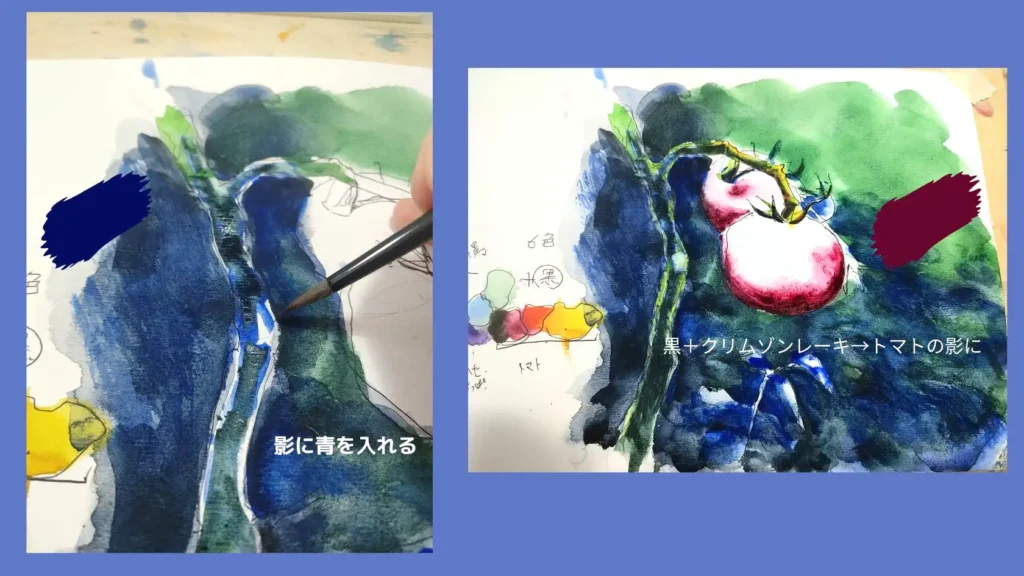 トマトの水彩画
