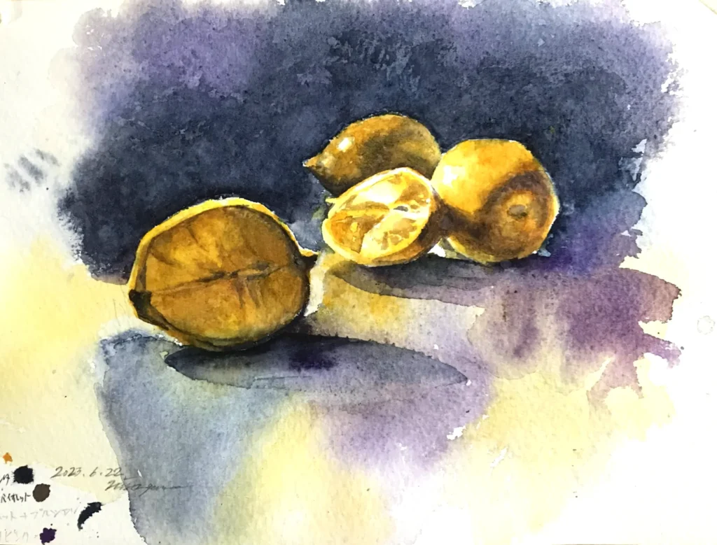 色彩を上手く使いレモンを描こう/水彩スキル | HISA GEMMA オンライン