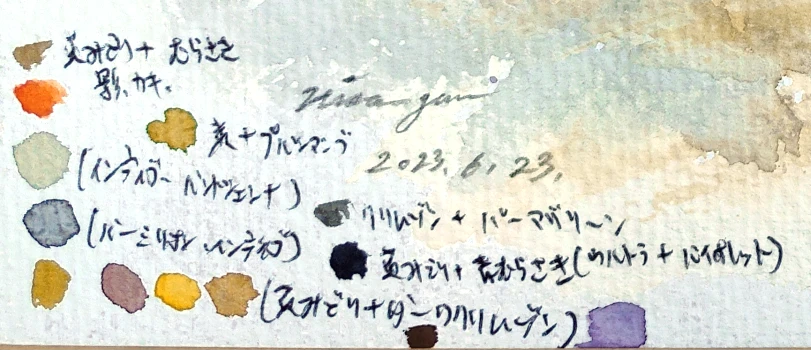 水彩で描いた柿の色彩