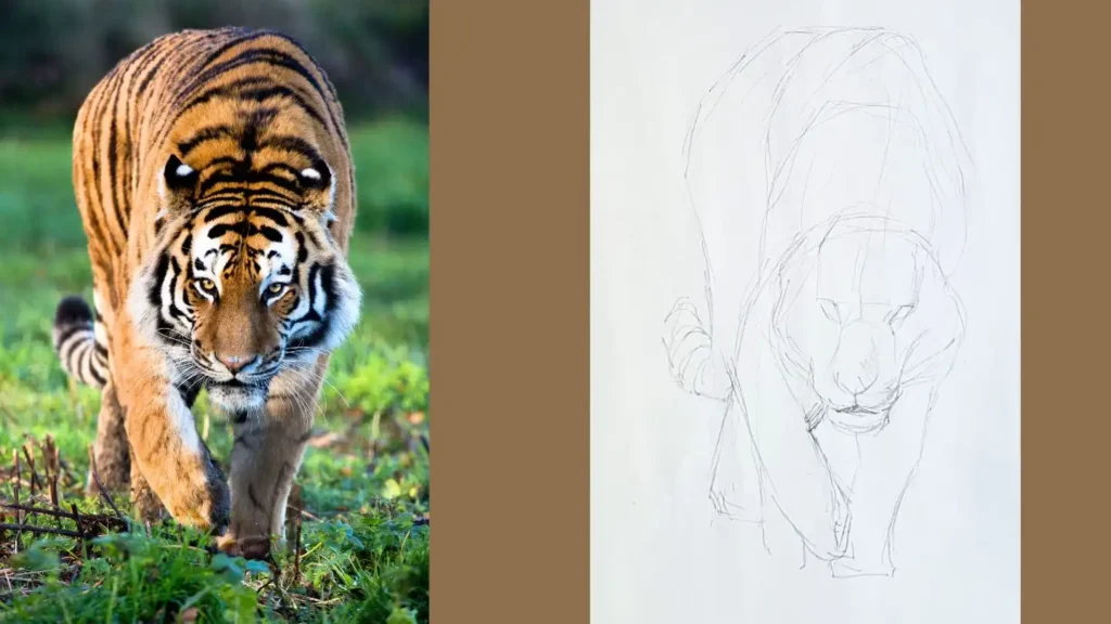 水彩で描いた虎