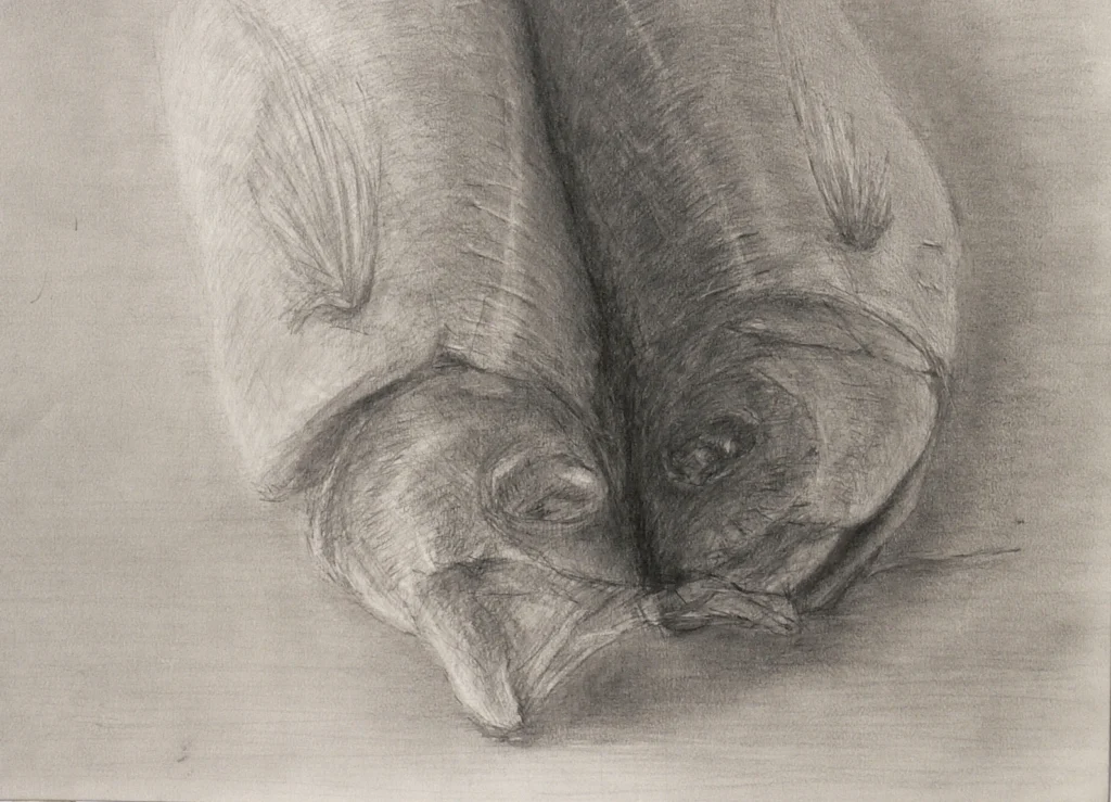 Hisagemmaの描いたアジのデッサン