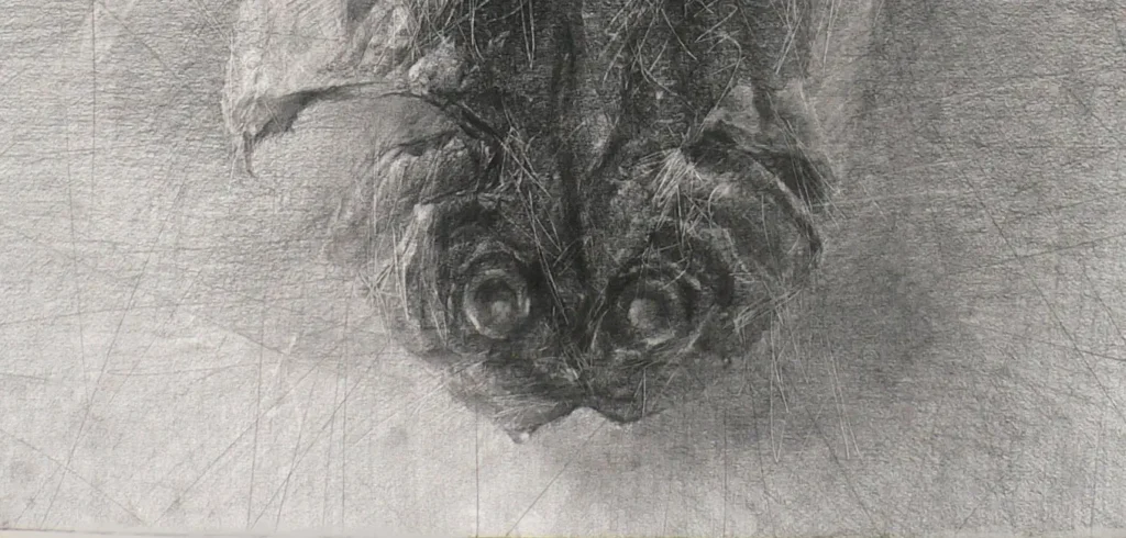Hisagemmaの描いた魚のデッサン