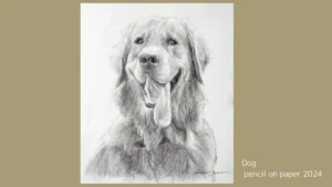 オンライン絵画教室の授業で鉛筆で描いた犬