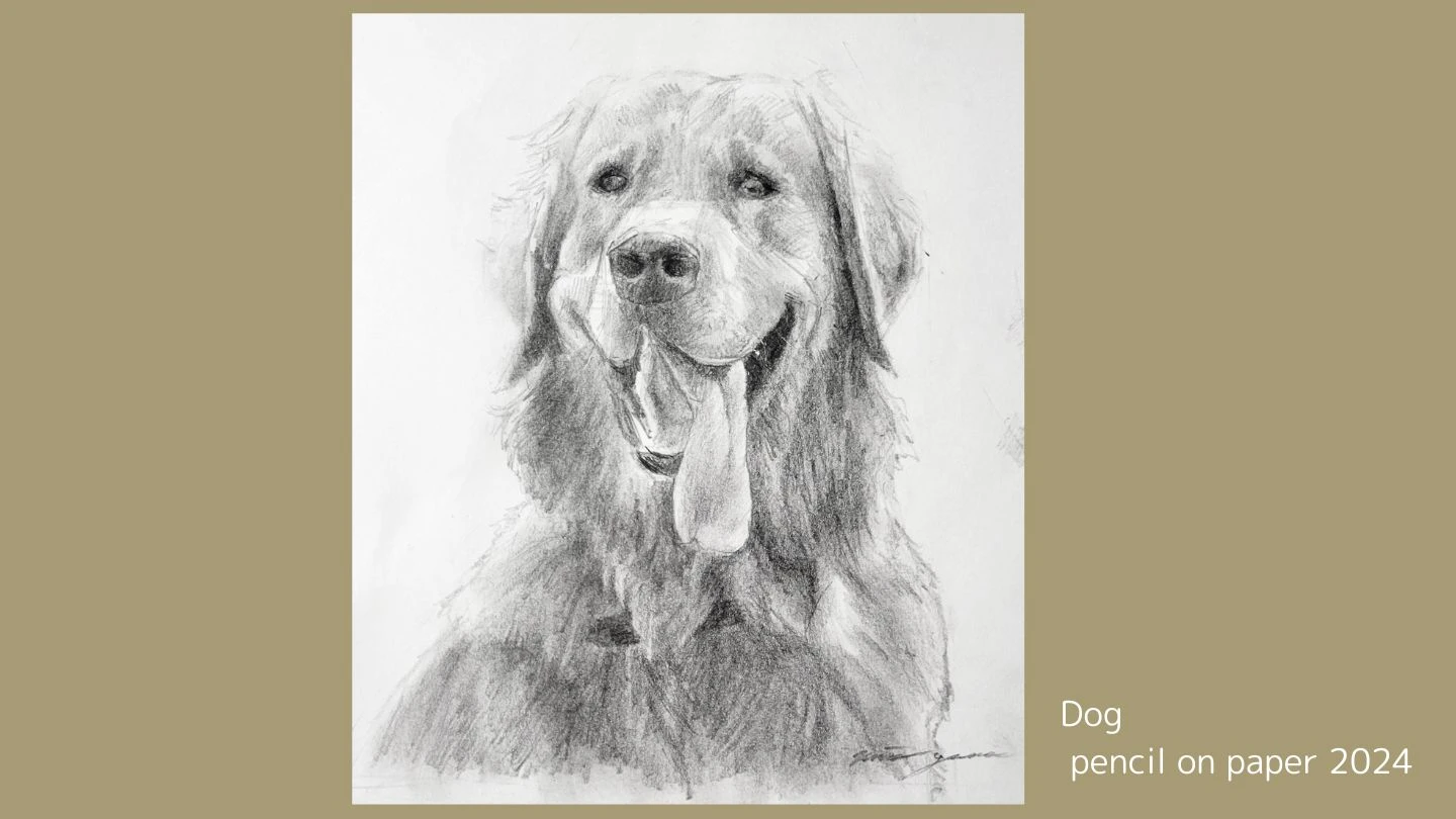 オンライン絵画教室の授業で鉛筆で描いた犬