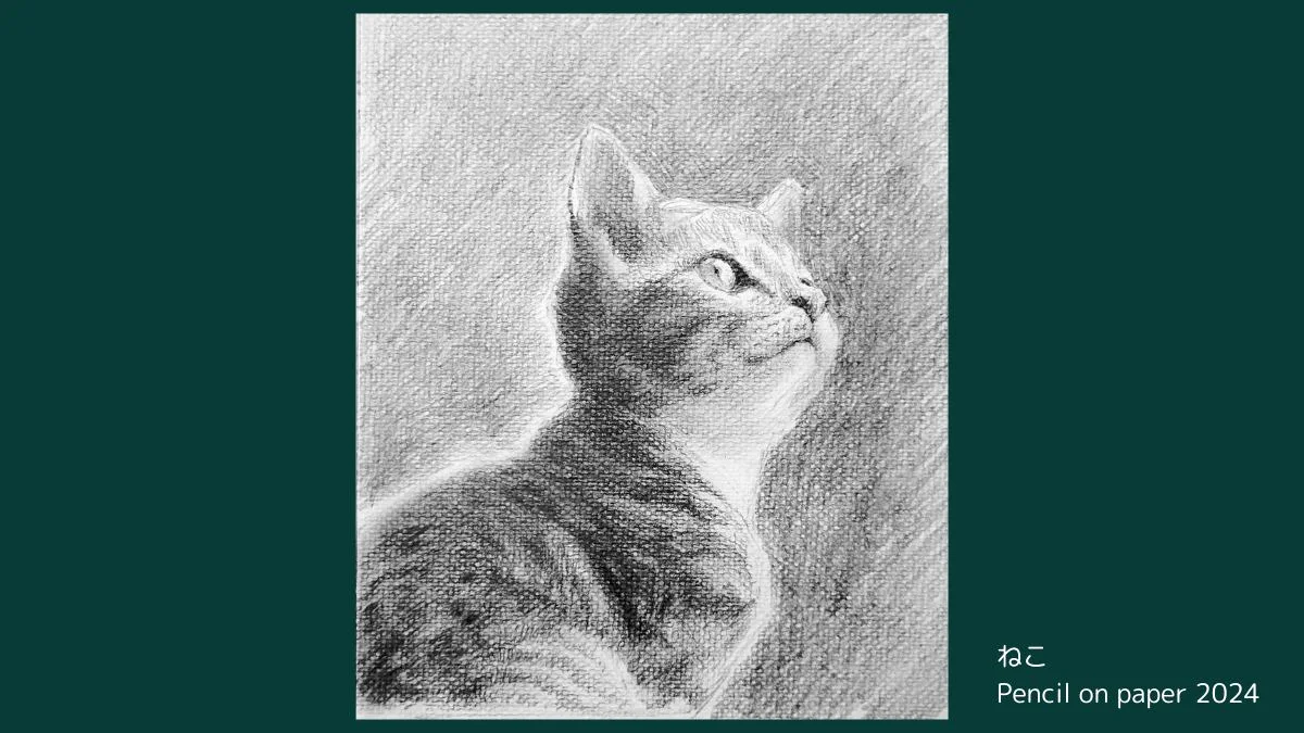 猫の鉛筆デッサン