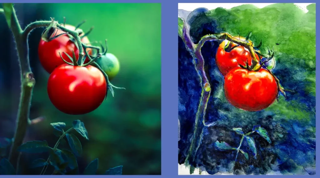 トマトの水彩画