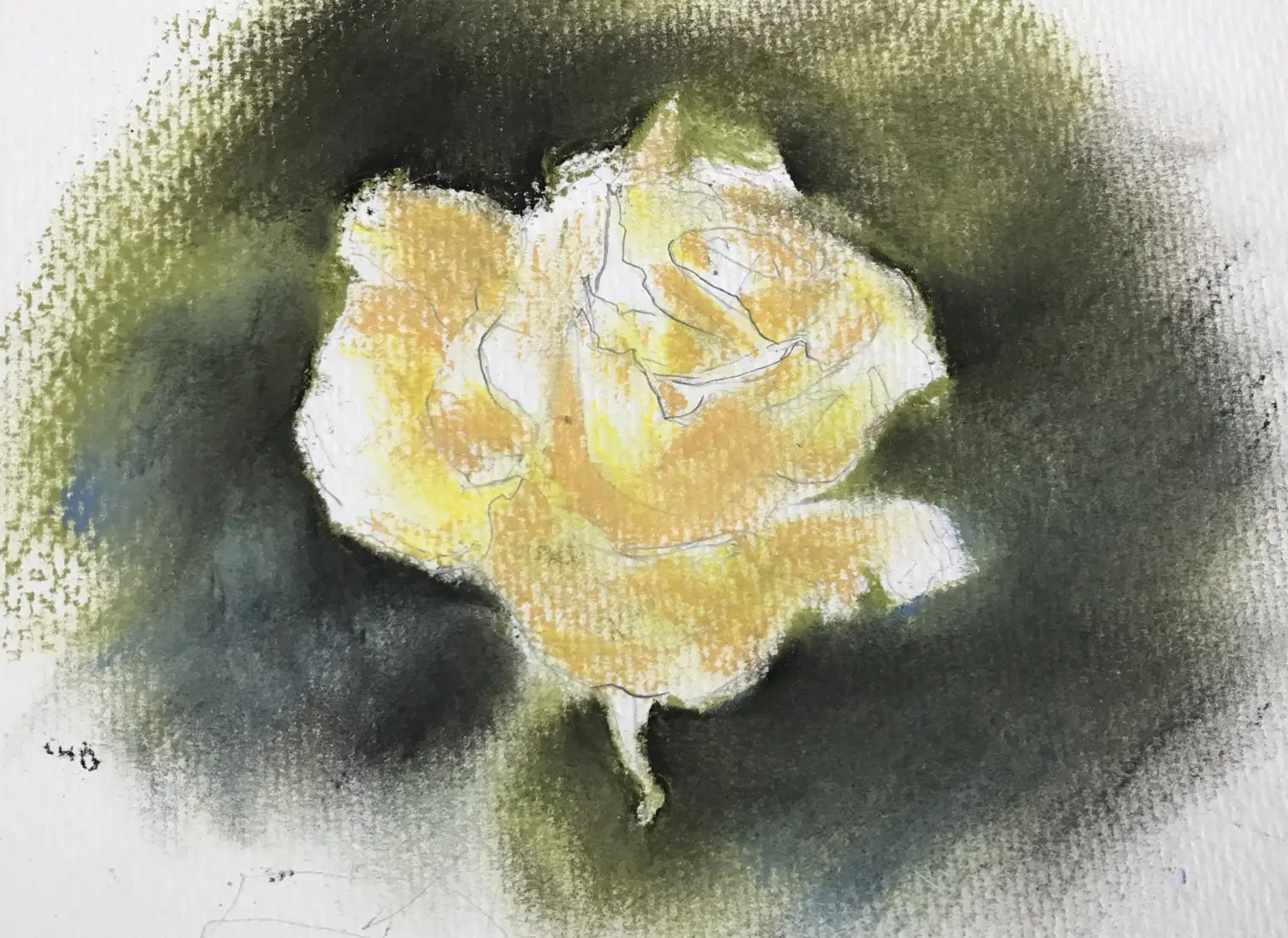 花のパステル画