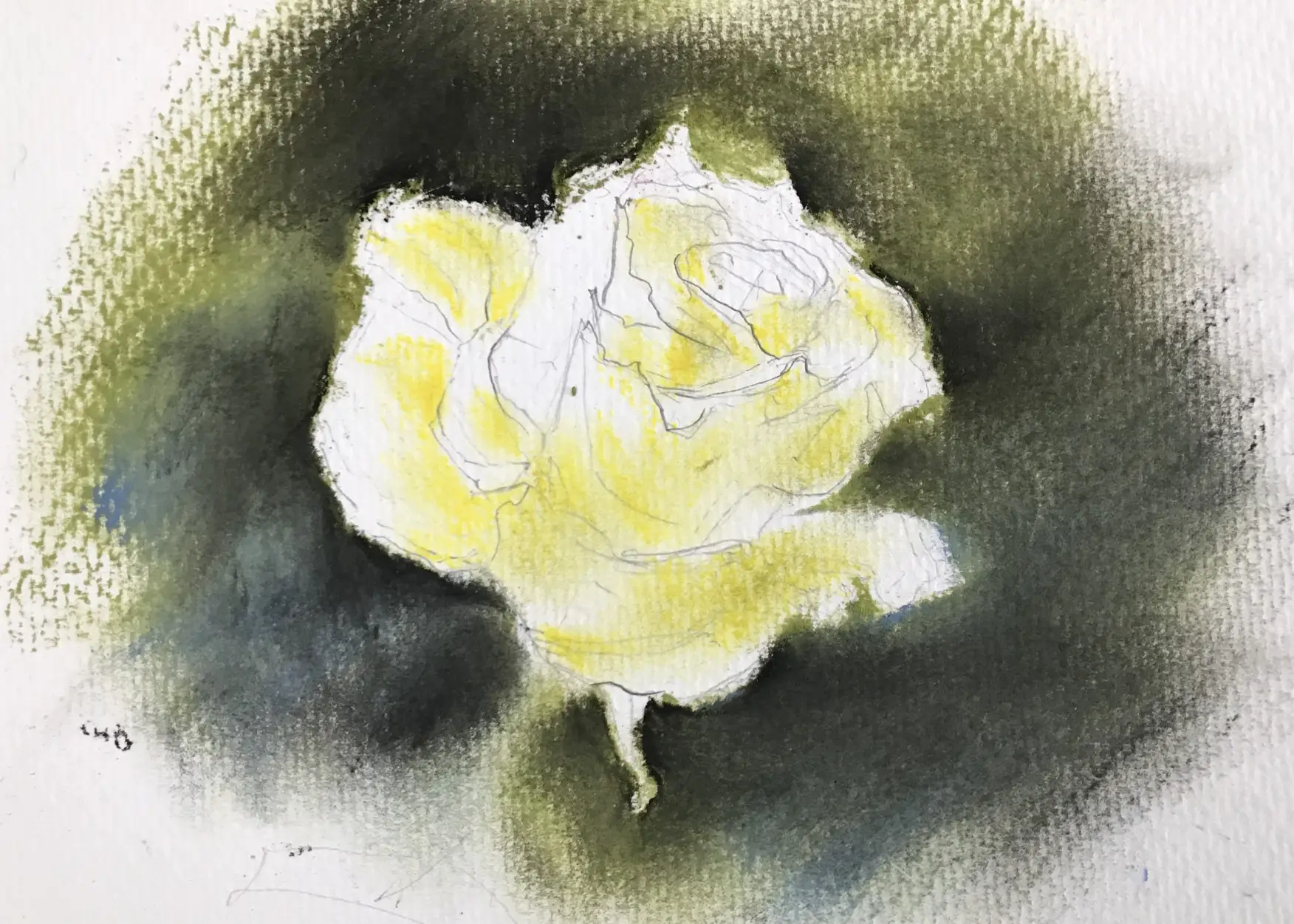 花のパステル画