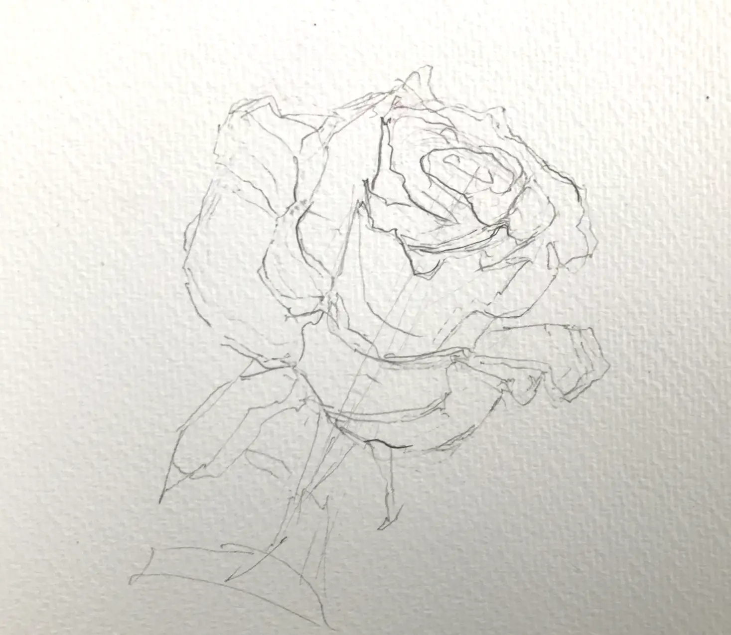 花のパステル画