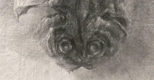 Hisagemmaの描いた魚のデッサン